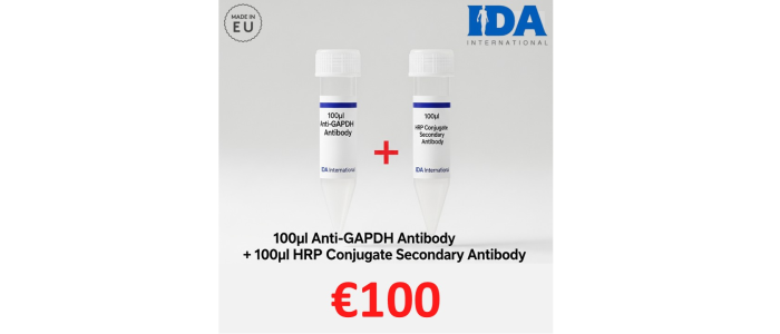 GAPDH Antibody