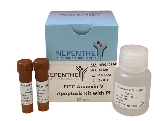 fitc annexin v apoptosis kit with pi